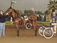 TrackMaster Winner's Circle Selections